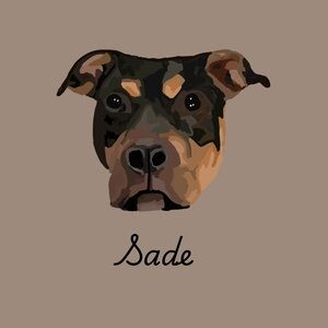 Custom Pet Portraits